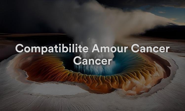 Compatibilité Amour Cancer Cancer