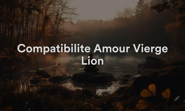 Compatibilité Amour Vierge Lion