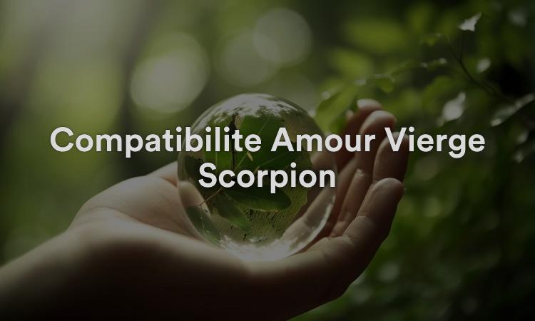 Compatibilité Amour Vierge Scorpion