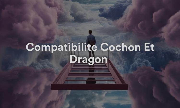Compatibilité Cochon Et Dragon : Steamy Love