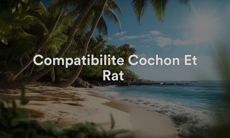 Compatibilité Cochon Et Rat : Excellent Amour