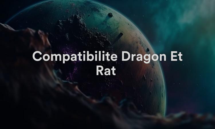 Compatibilité Dragon Et Rat : Connexion Magnétique