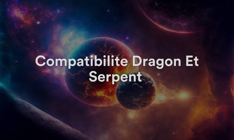 Compatibilité Dragon Et Serpent : Des Partenaires Déterminés