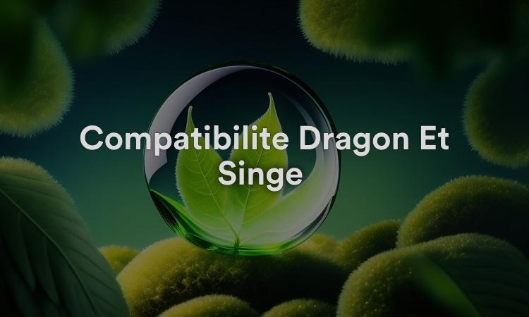 Compatibilité Dragon Et Singe : Passionné Et Aimant