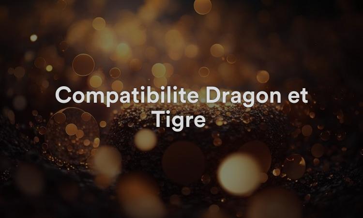 Compatibilité Dragon et Tigre : une connexion émotionnelle