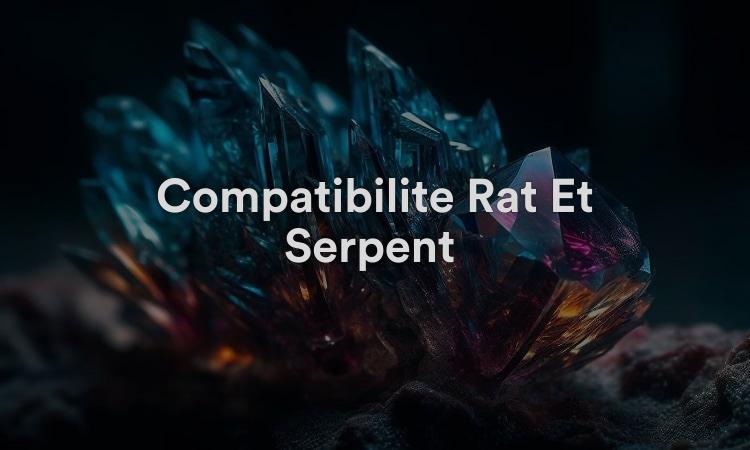 Compatibilité Rat Et Serpent : Match d'Amour Parfait