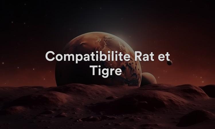 Compatibilité Rat et Tigre : un amour passionnant