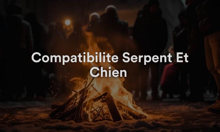 Compatibilité Serpent Et Chien : Partenariat Souhaité