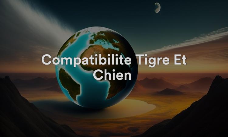 Compatibilité Tigre Et Chien : Lien Incassable