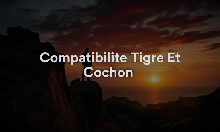 Compatibilité Tigre Et Cochon : Union Sensationnelle