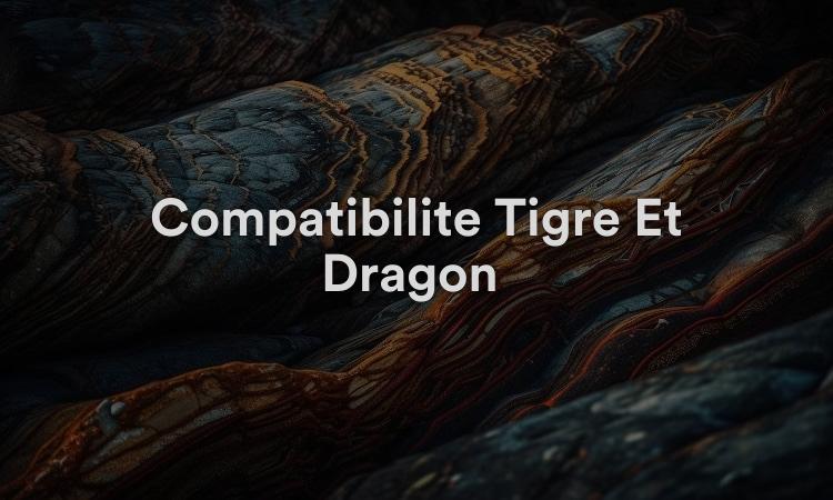 Compatibilité Tigre Et Dragon : Couple Spontané