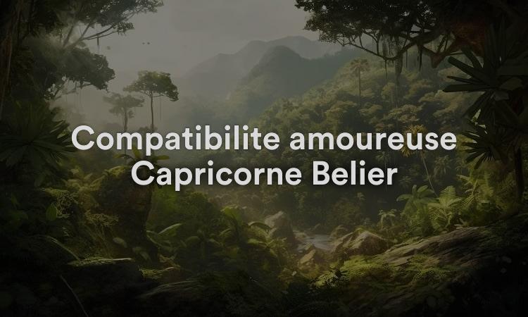 Compatibilité amoureuse Capricorne Bélier