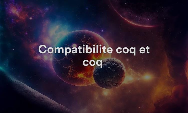 Compatibilité coq et coq : lien émotionnel