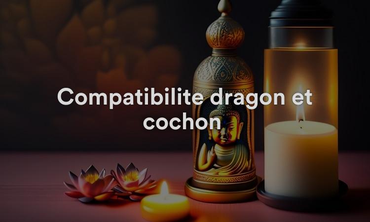 Compatibilité dragon et cochon : personnalité et attraction fermes