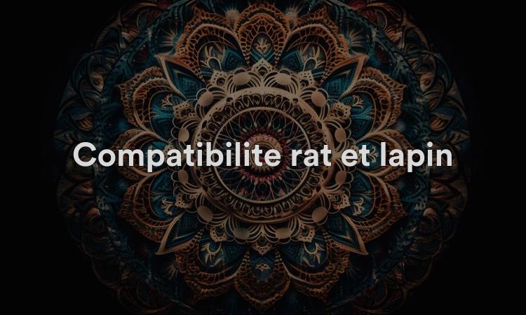 Compatibilité rat et lapin : amour affectueux