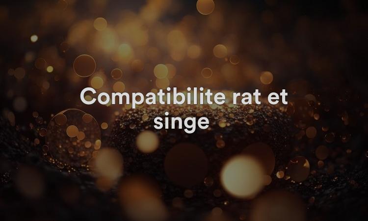 Compatibilité rat et singe : amour doux
