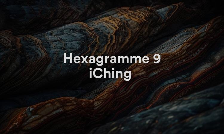 Hexagramme 9 iChing : Attention aux détails Vidéo I Ching 9