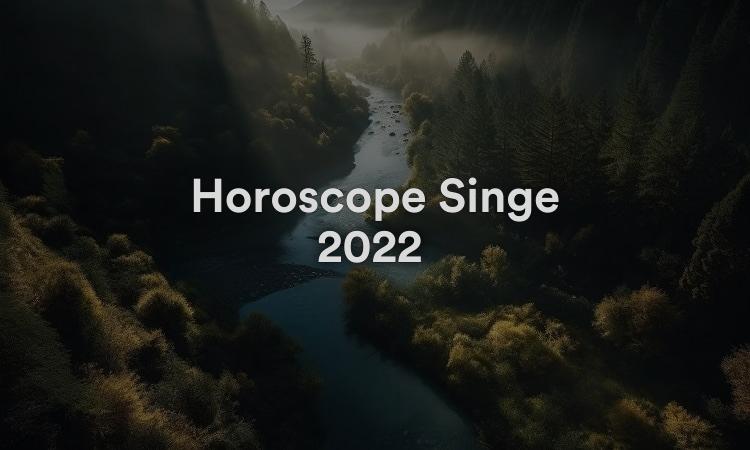 Horoscope Singe 2022 Chance et prédictions Feng Shui !