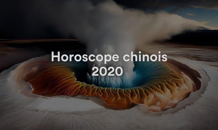 Horoscope chinois 2020 Année du Rat de Métal Blanc