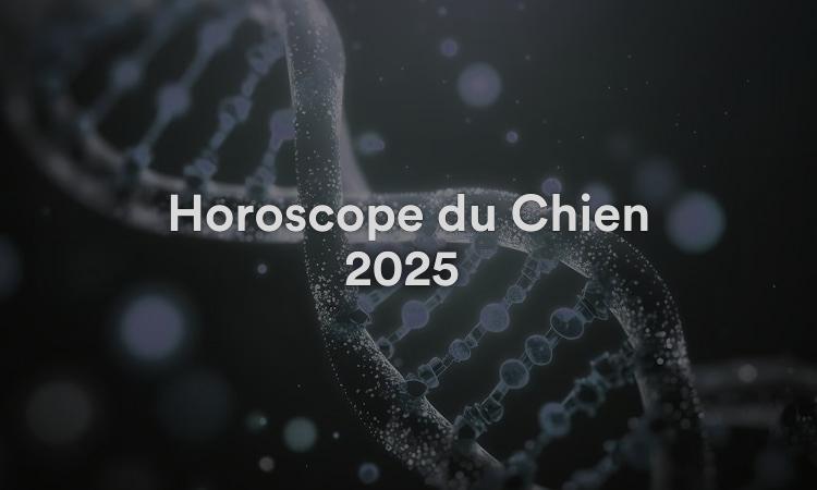 Horoscope du Chien 2025 Chance et prédictions Feng Shui !