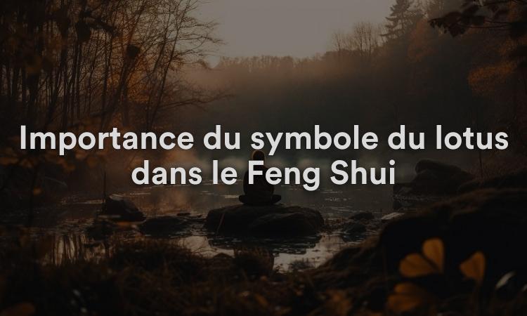 Importance du symbole du lotus dans le Feng Shui