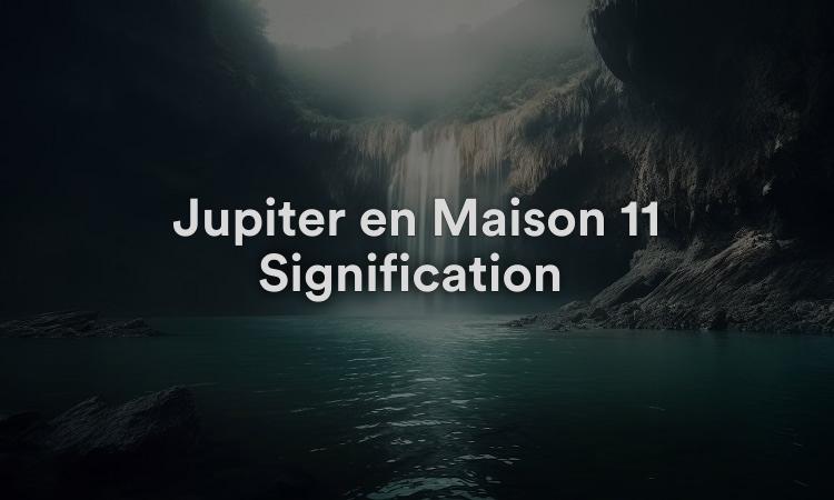 Jupiter en Maison 11 Signification : Nature tolérante