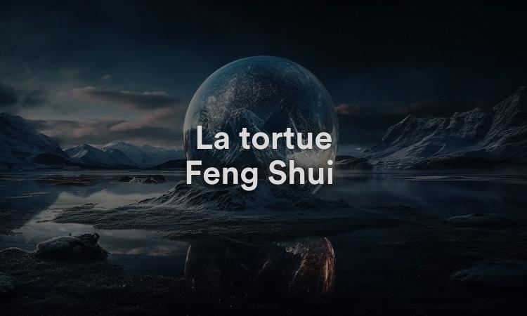 La tortue Feng Shui : 10 faits intéressants