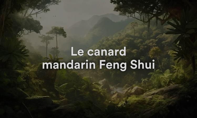 Le canard mandarin Feng Shui
