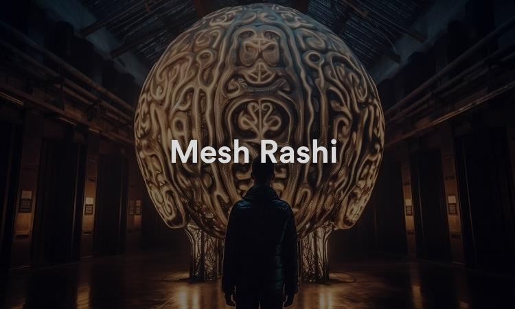 Mesh Rashi : l'énergie pour faire le bien