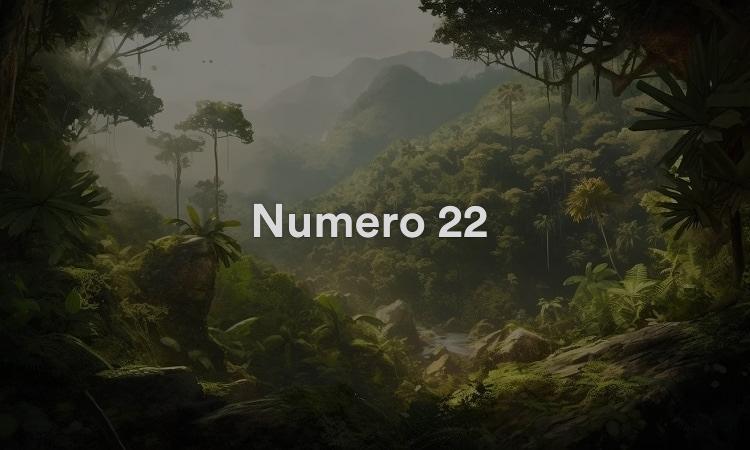 Numéro 22 Horoscope Numérologie 2021 : Un nouveau départ