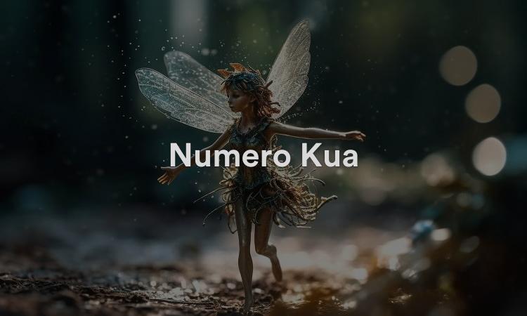 Numéro Kua