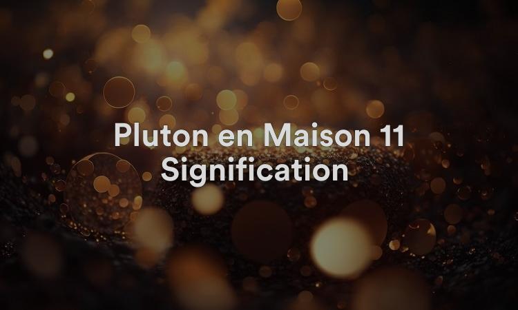 Pluton en Maison 11 Signification : Amitiés
