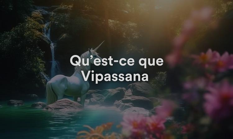 Qu’est-ce que Vipassana ?