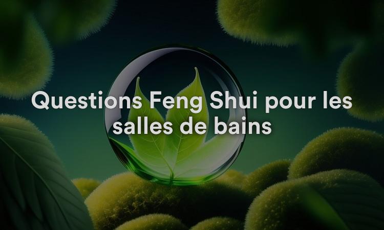 Questions Feng Shui pour les salles de bains