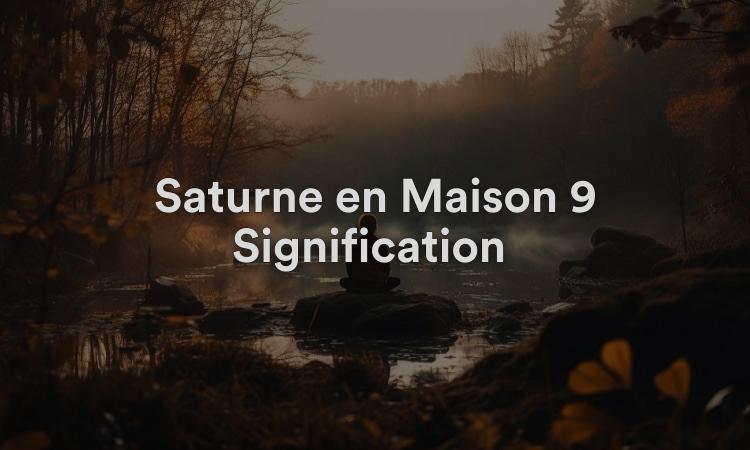 Saturne en Maison 9 Signification : Amour pour l’éducation