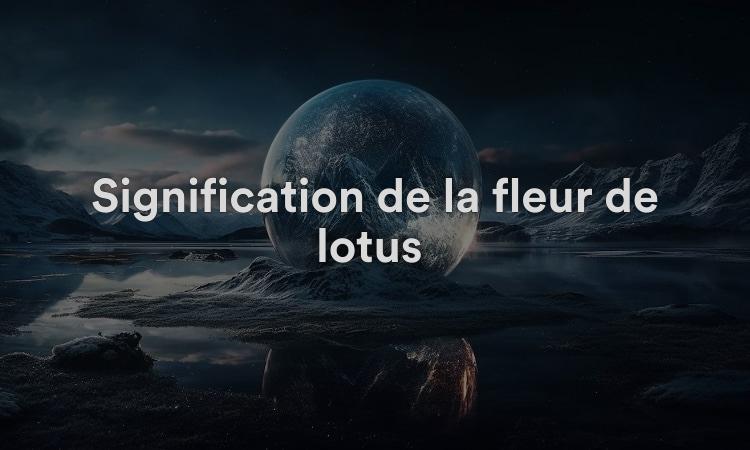 Signification de la fleur de lotus : transformation unique
