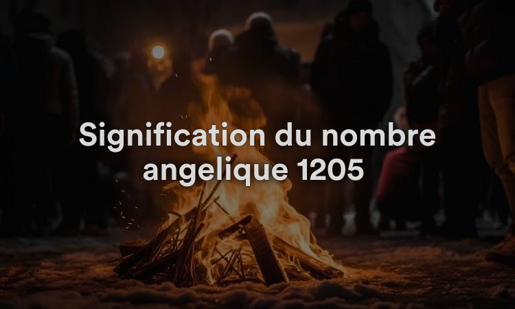 Signification du nombre angélique 1205 : espérer réussir