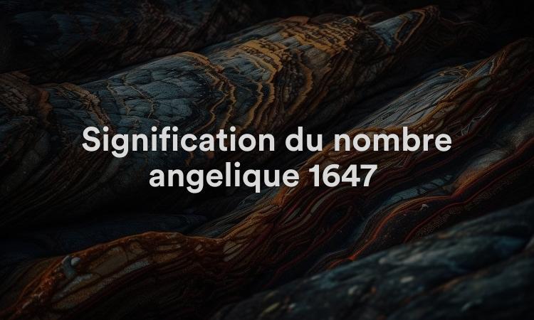 Signification du nombre angélique 1647 : un grand avenir s’annonce