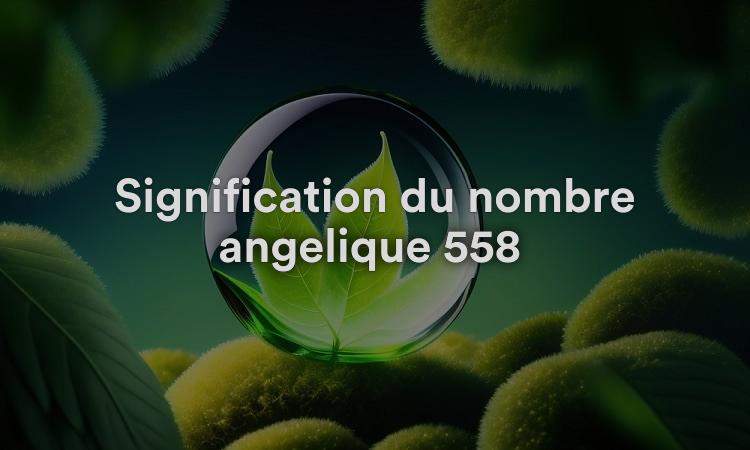 Signification du nombre angélique 558 : Renouvelez votre esprit