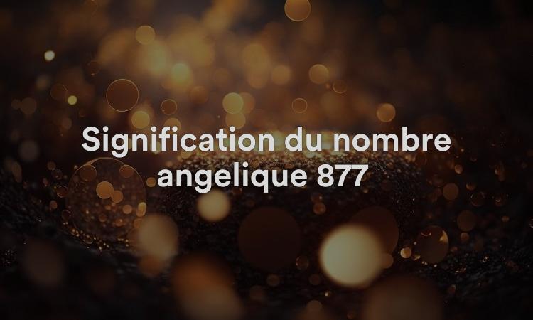 Signification du nombre angélique 877 : écoutez les voix spirituelles