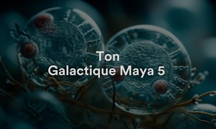 Ton Galactique Maya 5 : Ho Centre